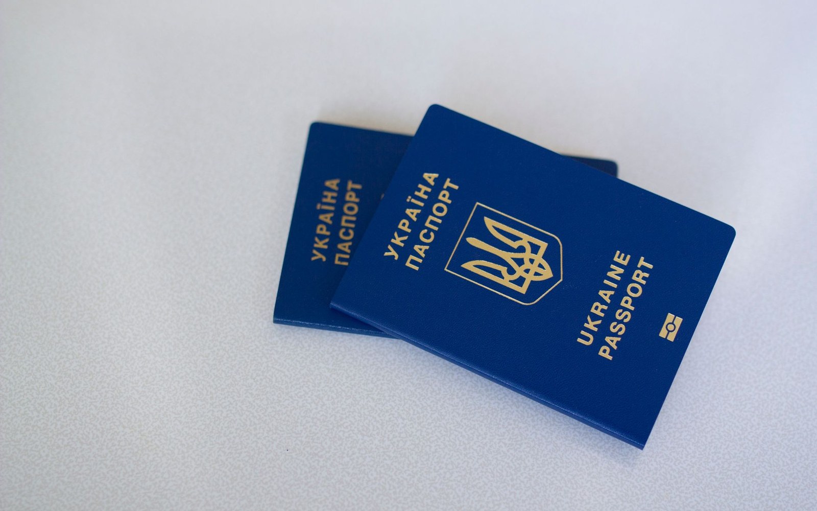 Two blue Ukrainian passports overlapping on a plain white surface