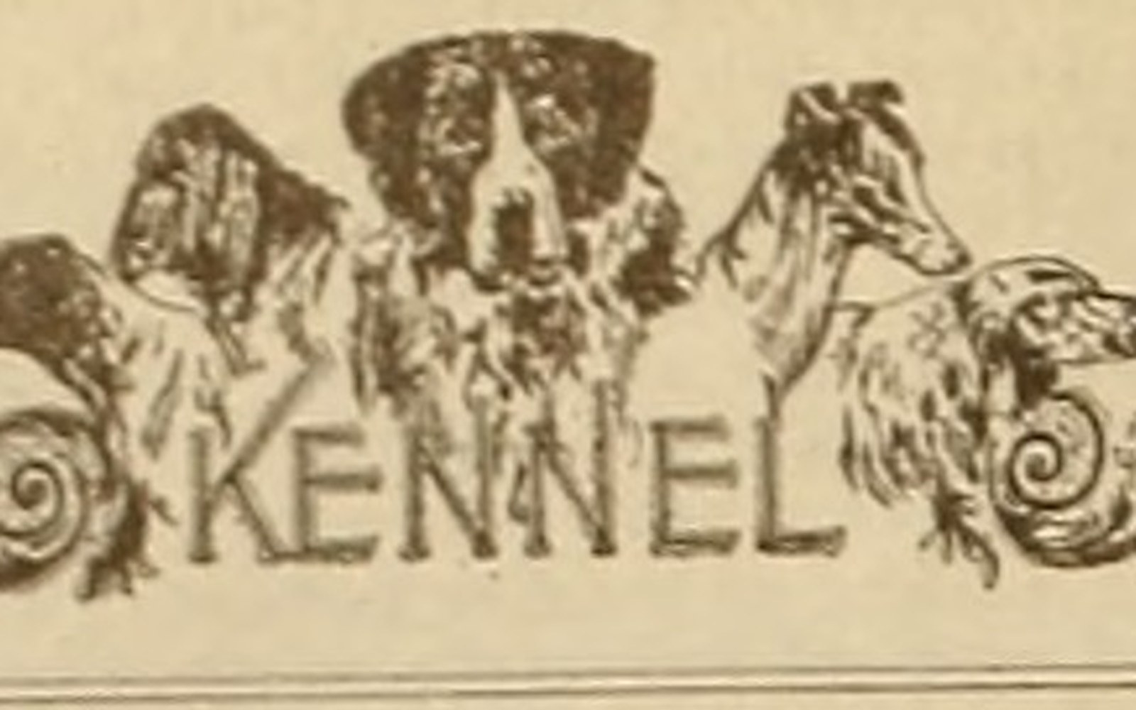 Vintage illustration of several dog breeds' heads above the word "Kennel"