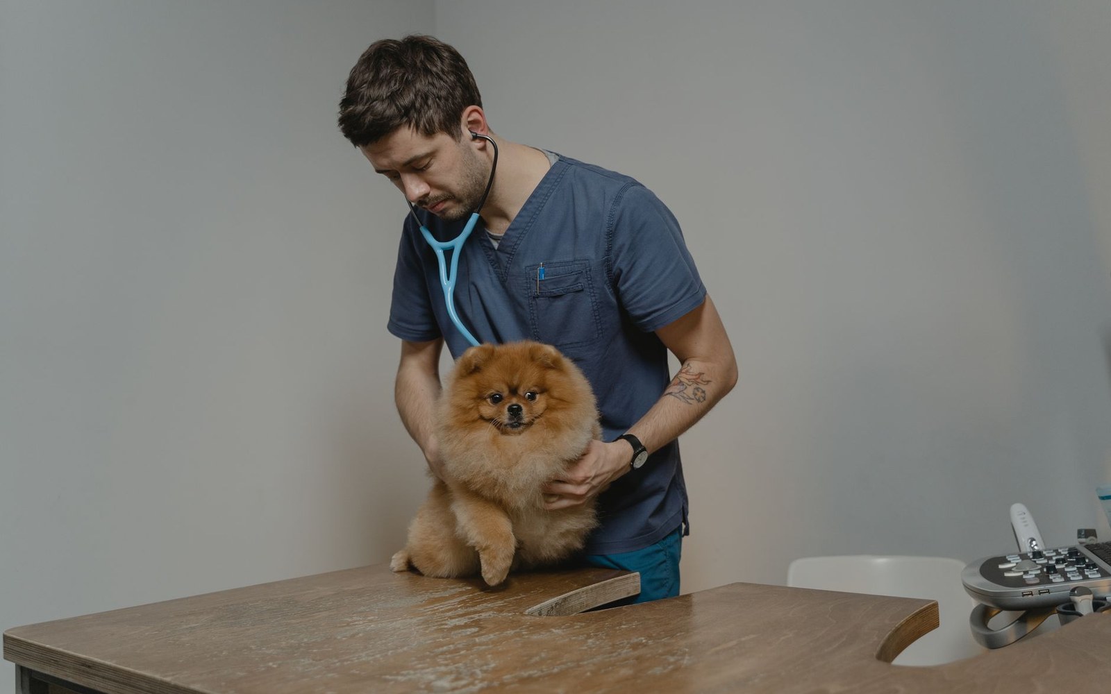 A veterinary consulting room — stethoscope on a stainless steel table, clinical overhead light, no animal present